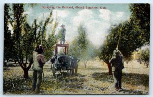 GRAND JUNCTION, CO Colorado  ~  SPRAYING the ORCHARD c1910s Farming Postcard