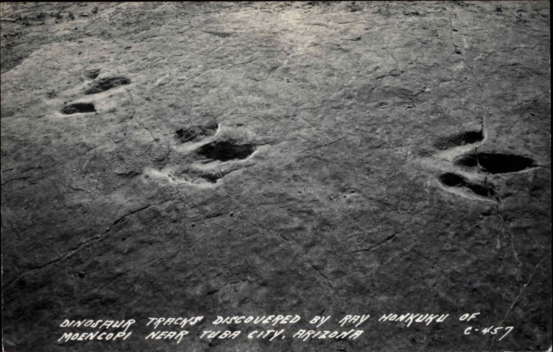 Yuba City Arizona AZ Dinosaur Tracks Archaeology Vintage Real Photo Postcard