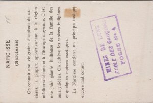 Victorian Trade Card Fleurs de France Narcisse Languedoc Card L1