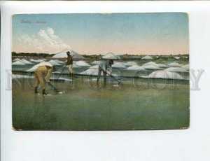 3171920 SPAIN CADIZ Salinas saltworks Vintage postcard