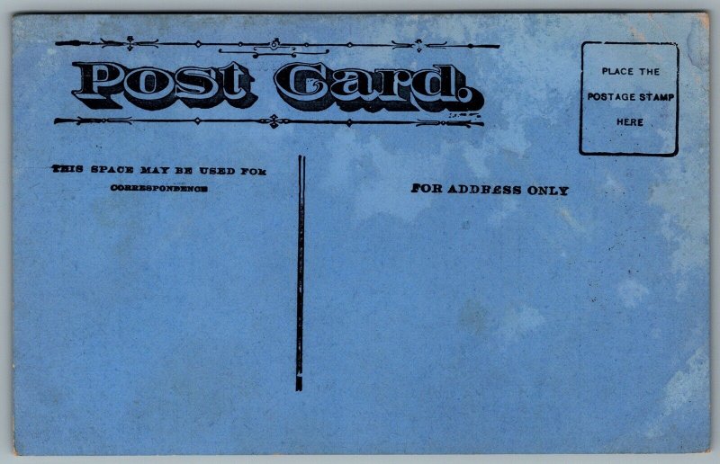 Postcard Australia c1908 Australian Ballot Post Card Unused