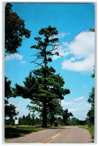 Greetings From Lake Gogebic Michigan MI, Marenisco The Lone Pine Road Postcard