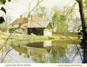 Lucas Farm White Roding Cottage Braintree Womens Institute Essex Postcard