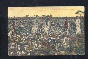 NORMAN OKLAHOMA PICKING COTTON FARMING PICKERS VINTAGE POSTCARD 1909