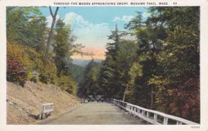 Through the Woods near Drury Mohawk Trail MA  - 1925 - WB