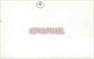 Postcard Modern Cane Goose Pigeons