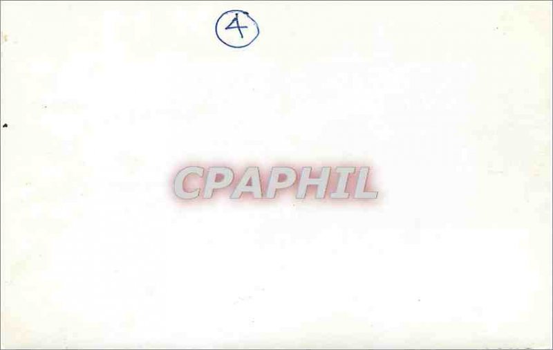 Postcard Modern Cane Goose Pigeons