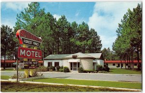 FOREST PINES MOTEL Jesup, Georgia Roadside 1950s Vintage Postcard