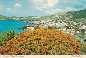 St Thomas Charlotte Amalie and Harbor