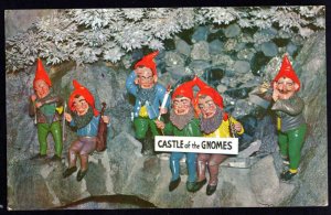 Tennessee CHATTANOOGA Castle of the Gnomes Rock City Lookout Mountain Chrome