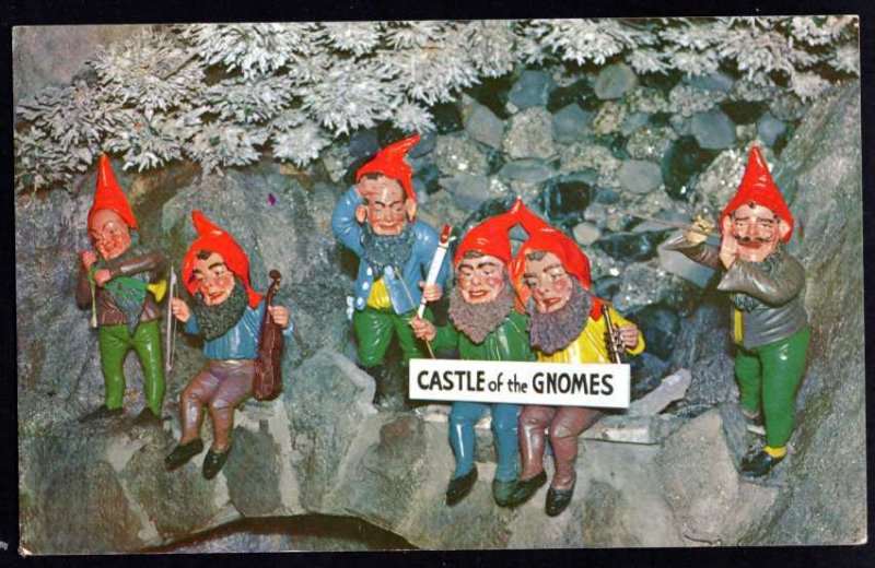 Tennessee CHATTANOOGA Castle of the Gnomes Rock City Lookout Mountain Chrome