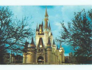 Unused Pre-1980 CINDERELLA CASTLE AT DISNEYWORLD Orlando Florida FL p2645@