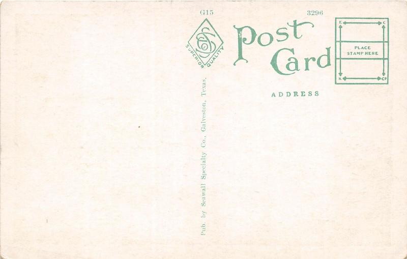 F14/ Galveston Texas Postcard c1910 Oleander Tree Bush 2