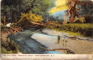 Willows, Buckleys Creek Marlborough, New York NY