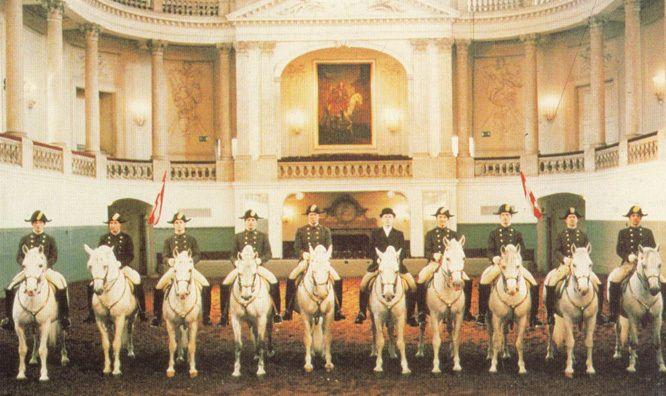 Spanish Riding School Of Vienna Mounted Riders Procession Official Postcard