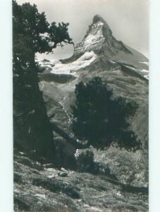 old rppc NICE VIEW Zermatt - Visp - Valais Switzerland i3075