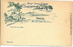 09880 Vintage postcard - NAPLES City: ADVERTISING-