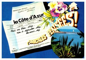 Postcard France Friendly Thoughts la Cote d'Azur - exotic vegetation