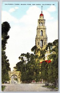 California Tower Balboa Park San Diego California Roadway & Trees View Postcard