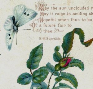 1880s Victorian Christmas Trade Card Poem By H.M Burnside Moth Roses #6K