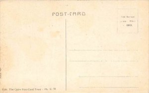 Egypt, Cairo -Pyramids at Ghizeh, palm trees in front.