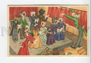 439969 Dressed CAT Choir & Conducting DOG Vintage COMIC postcard