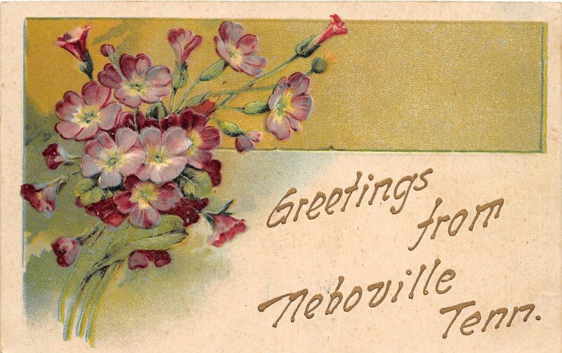 G44/ Neboville Tennessee Postcard 1908 Greetings from Neboville