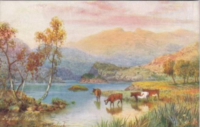 Tucks Rydal Water With Cows PIcturesque English Lakes Series 7287