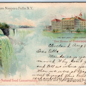 1904 Niagara Falls Wheat Food Factory UDB PMC Colorful Private Mailing Card A153