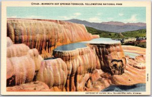 Mammoth Hot Springs Yellowstone National Park Calcium Carbonate Terrace Postcard