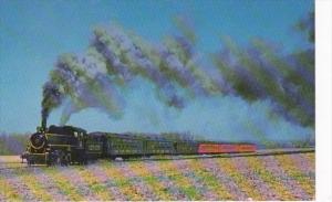 New Hope Steam Railway Locomotive #40