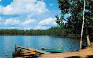 NEW BUFFALO MICHIGAN~FISH LADEN LAKE~WOOD BOATS GREETINGS  POSTCARD 1957