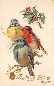 Merry Christmas to you Birds D.P.O. , Discontinued Post Office 1910 