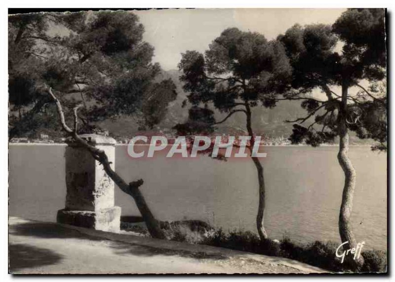 Modern Postcard The French Riviera Menton Study Pins and old fountain in Cap ...