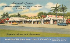 Postcard Florida Coca Harvey's Groves 1940s Advertising Teich linen 23-7395