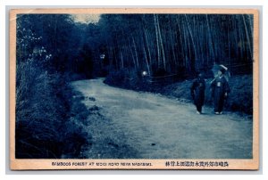 Bamboo Forest Mogi Road to Nagasaki Japan UNP Cyanotype DB Postcard K18