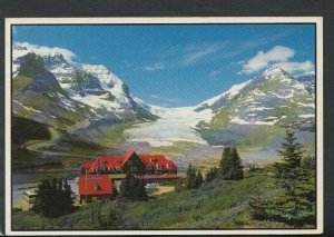 Canada Postcard - Athabasca Glacier, Columbia Icefield, Jasper National.. T3620