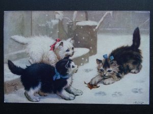 THREE KITTENS IN SNOW PLAYING WITH A LEAF c1919 Postcard by Raphael Tuck 8884