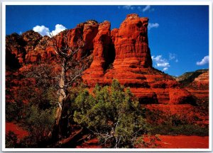 VINTAGE CONTINENTAL SIZE POSTCARD COFFEE POT ROCK AT SEDONA ARIZONA