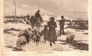 Horses. Sheep. Shepherds familyOld vintage French photo postcard