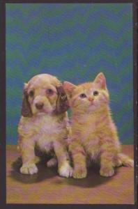 Kitten and Puppy Postcard 