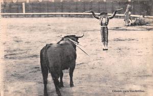 Bullfighting  