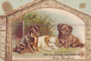 Victorian Trade Card - Lillibridge-Bremner Co. Fine Candies - 3 Dogs