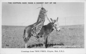 F17/ Cloyne Ontario Canada RPPC Postcard c40s Exaggeration Grasshopper Donkey