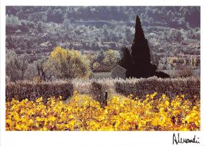 B51007 Provence Clair Obscure   france