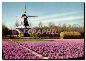 Modern Postcard Holland Windmill Bloginenland Molenland