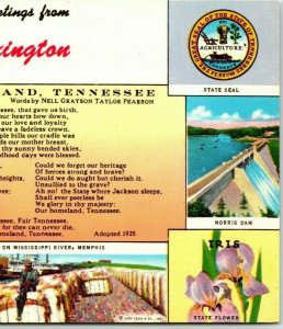 Greeting Lexington My Homeland Tennessee Song Cotton Souvenir Vintage Postcard