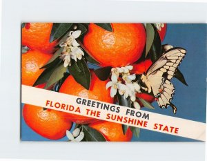 Postcard Greetings From Florida The Sunshine State, Florida