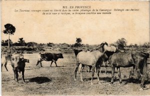 CPA En Provence - Camargue - Horses and Bulls (1259426)