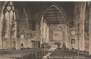 Herefordshire Postcard - Ross Church Showing Elm Trees    ZZ2647